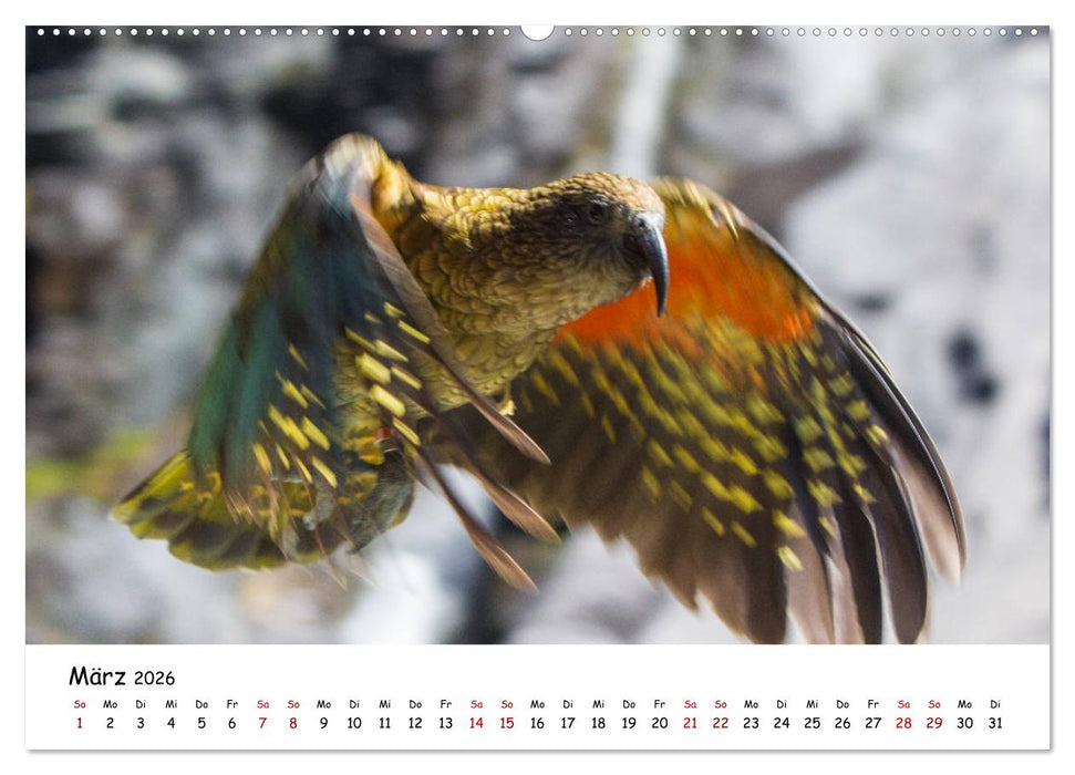 Neuseeland-Aotearoa, Land der weißen Wolke (CALVENDO Wandkalender 2026)