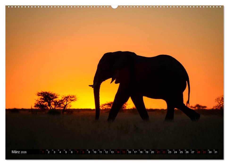 Faszination Botswana (CALVENDO Wandkalender 2026)