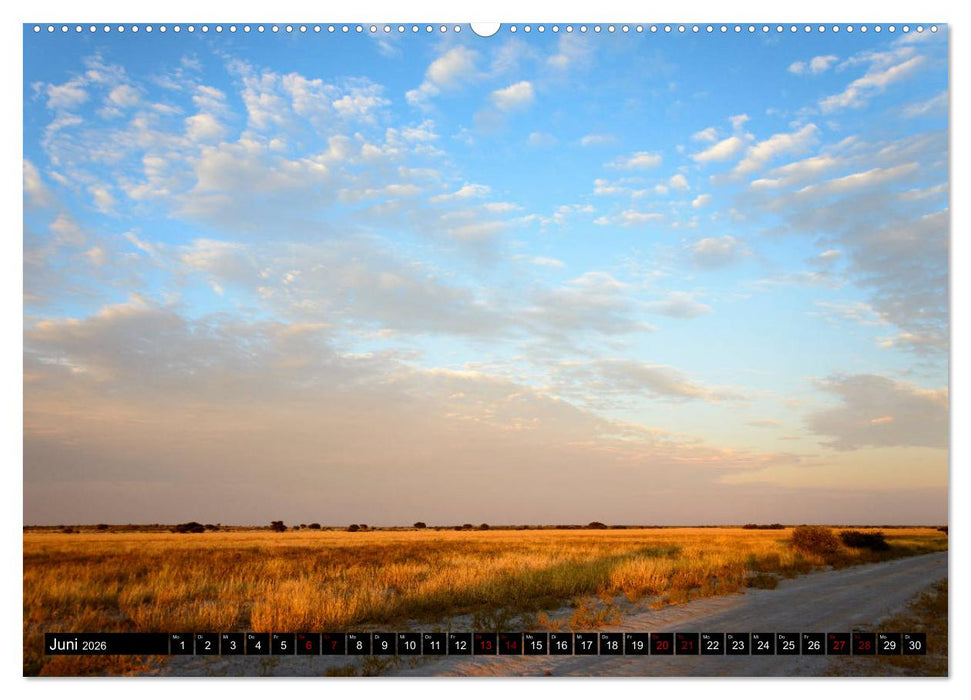 Faszination Botswana (CALVENDO Wandkalender 2026)