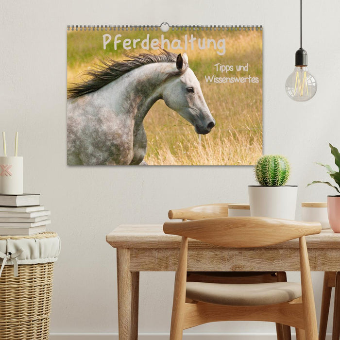 Pferdehaltung Tipps und Wissenswertes (CALVENDO Wandkalender 2026)
