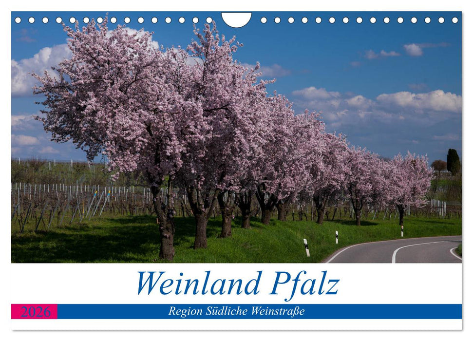 Weinland Pfalz - Region Südliche Weinstraße (CALVENDO Wandkalender 2026)