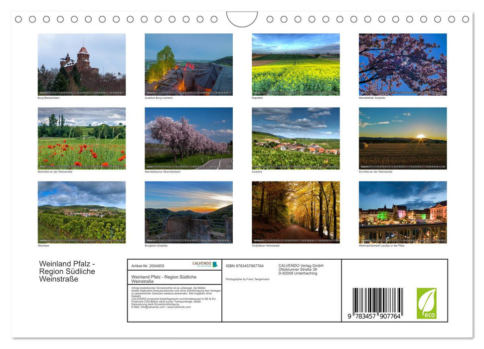 Weinland Pfalz - Region Südliche Weinstraße (CALVENDO Wandkalender 2026)