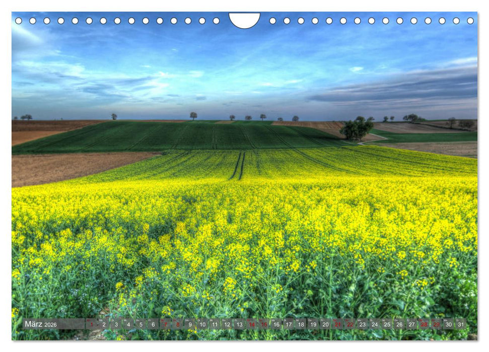 Weinland Pfalz - Region Südliche Weinstraße (CALVENDO Wandkalender 2026)