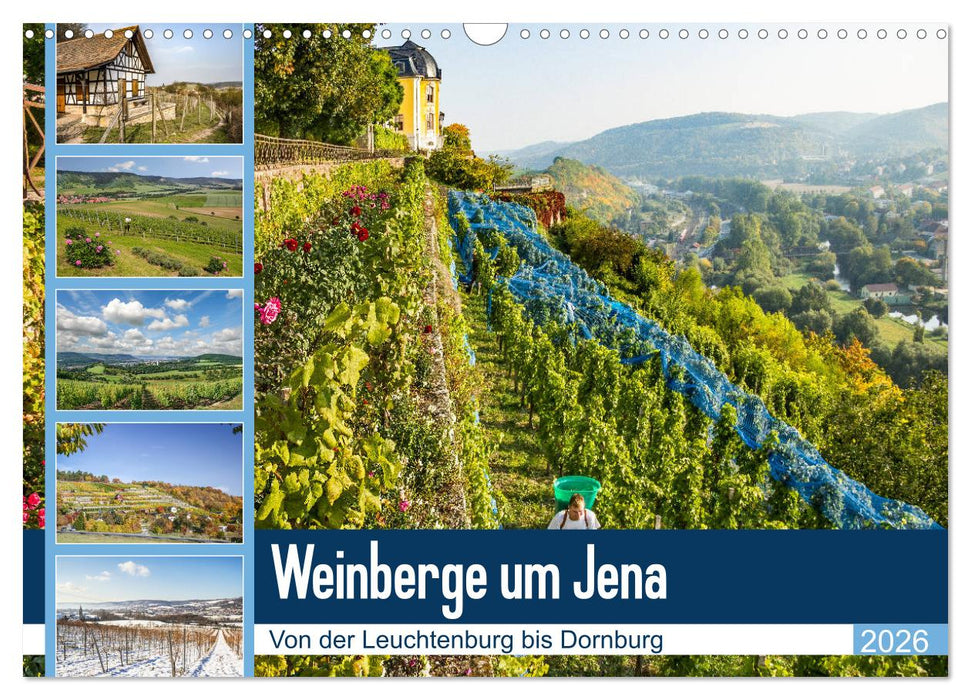Weinberge um Jena (CALVENDO Wandkalender 2026)