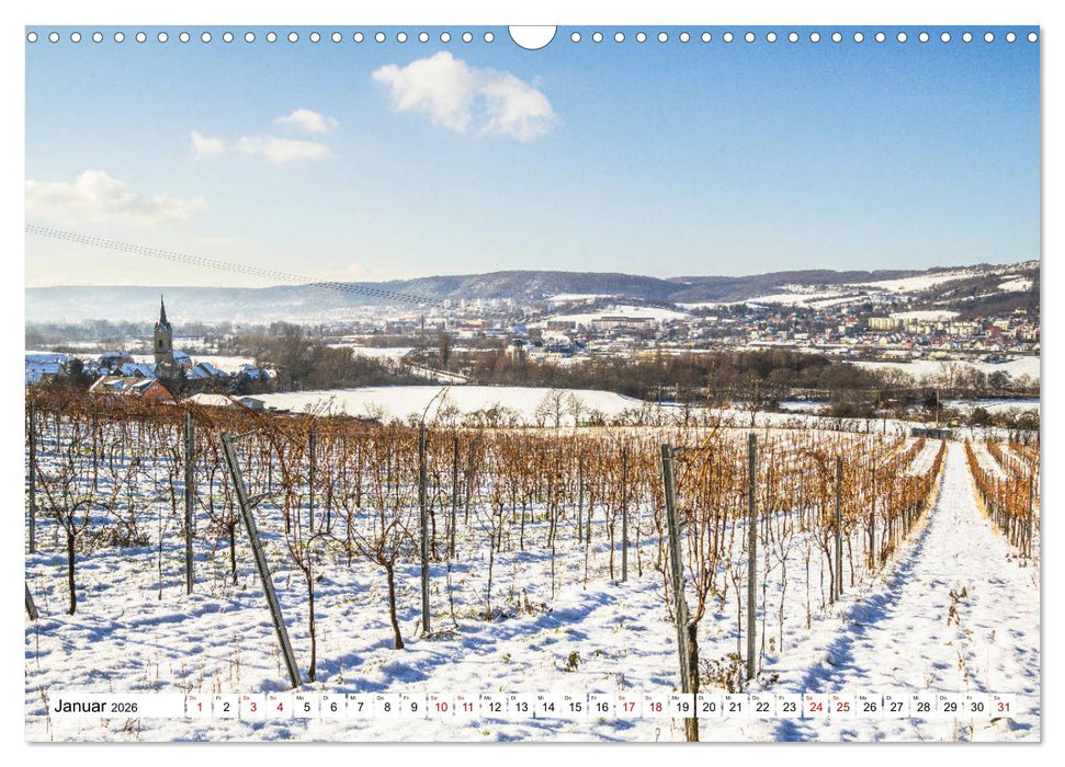 Weinberge um Jena (CALVENDO Wandkalender 2026)