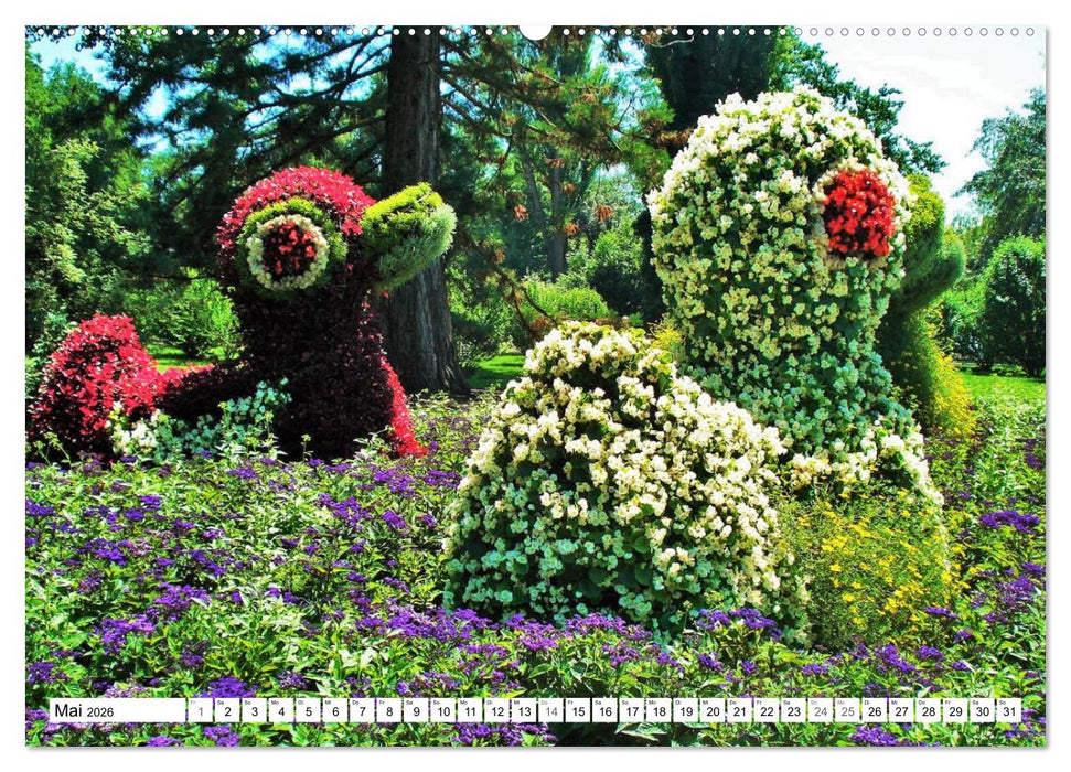 Am Bodenseeufer (CALVENDO Wandkalender 2026)