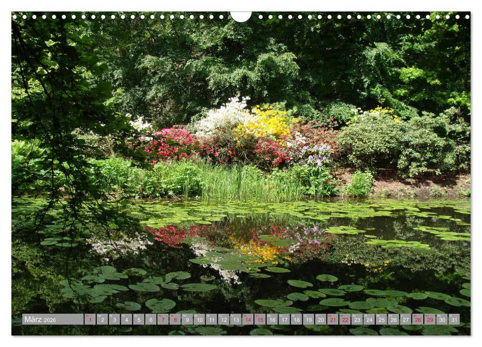 Bad Sassendorf (CALVENDO Wandkalender 2026)