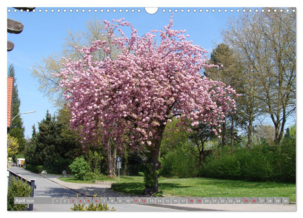 Bad Sassendorf (CALVENDO Wandkalender 2026)