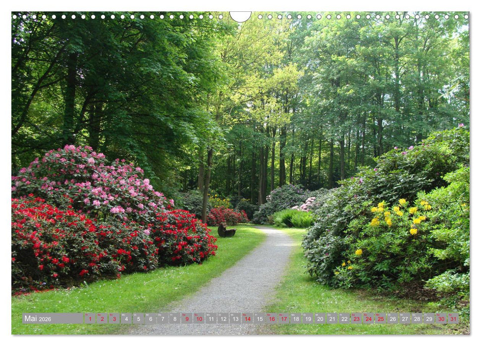 Bad Sassendorf (CALVENDO Wandkalender 2026)