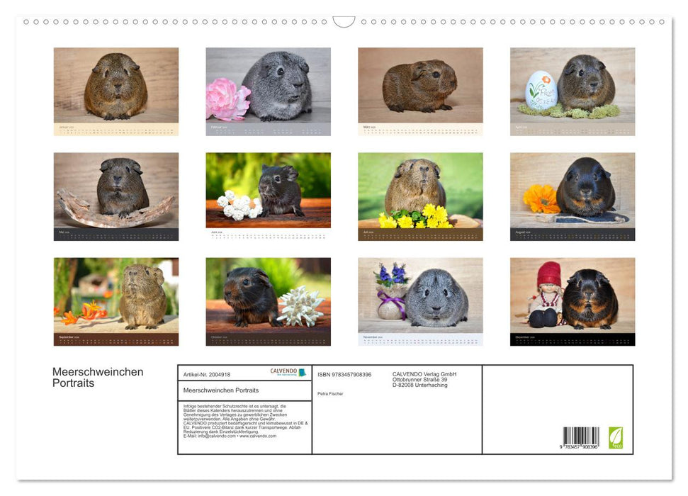 Meerschweinchen Portraits (CALVENDO Wandkalender 2026)