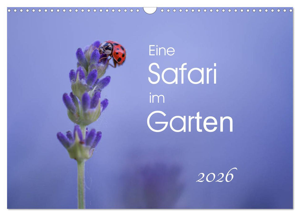 Eine Safari im Garten (CALVENDO Wandkalender 2026)