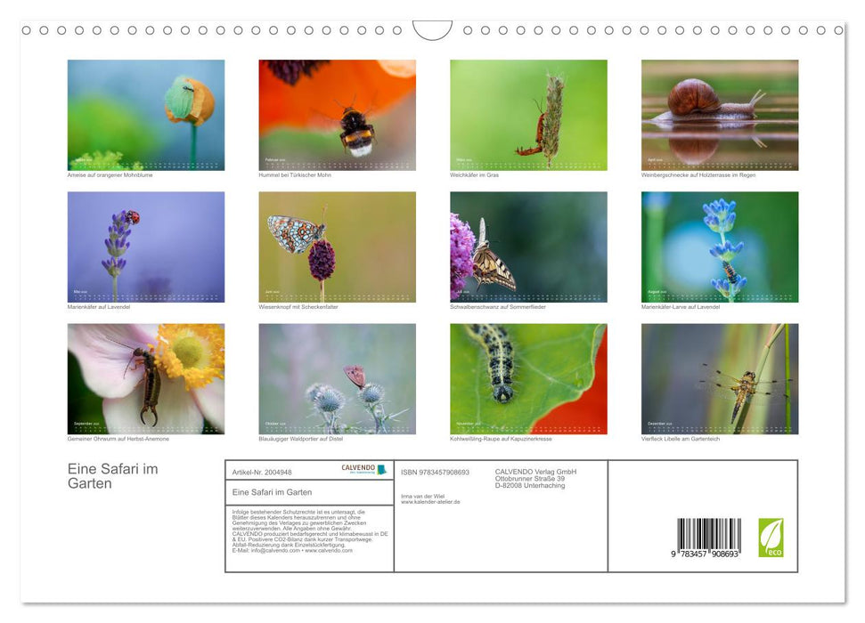 Eine Safari im Garten (CALVENDO Wandkalender 2026)