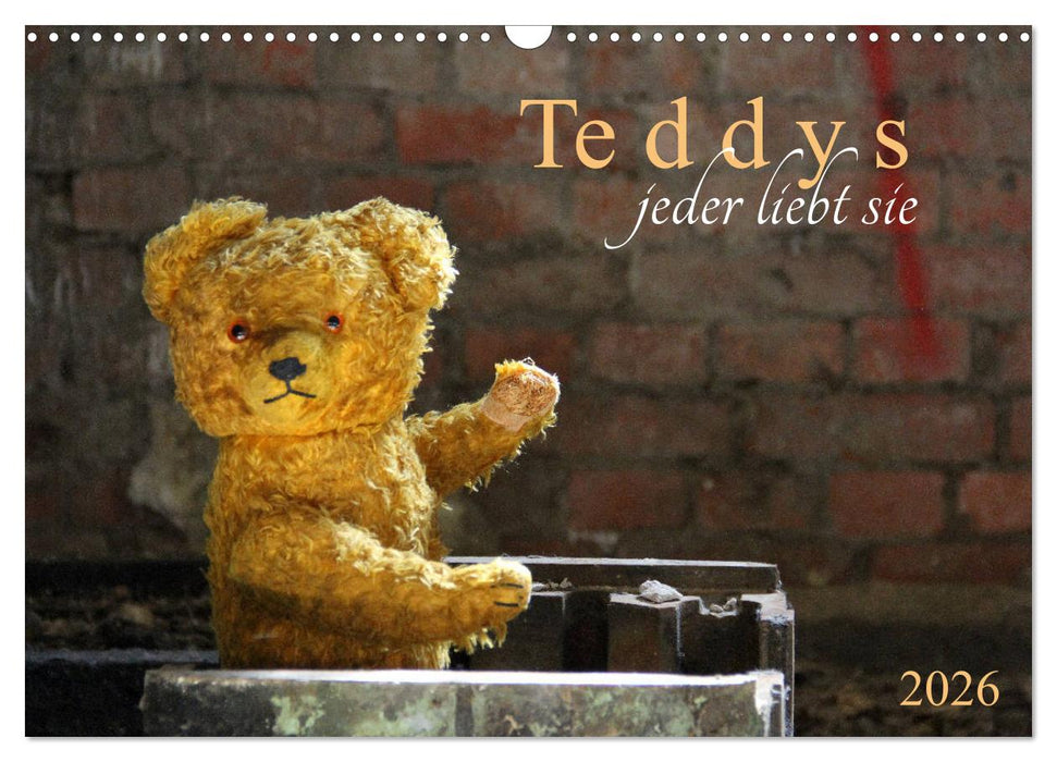 Teddys...jeder liebt sie (CALVENDO Wandkalender 2026)