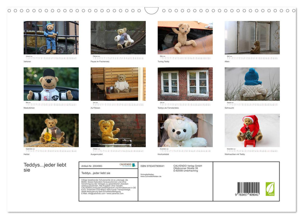 Teddys...jeder liebt sie (CALVENDO Wandkalender 2026)