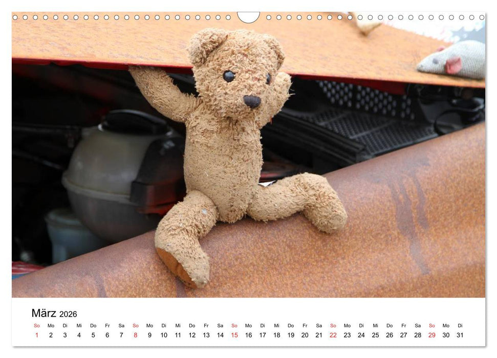Teddys...jeder liebt sie (CALVENDO Wandkalender 2026)