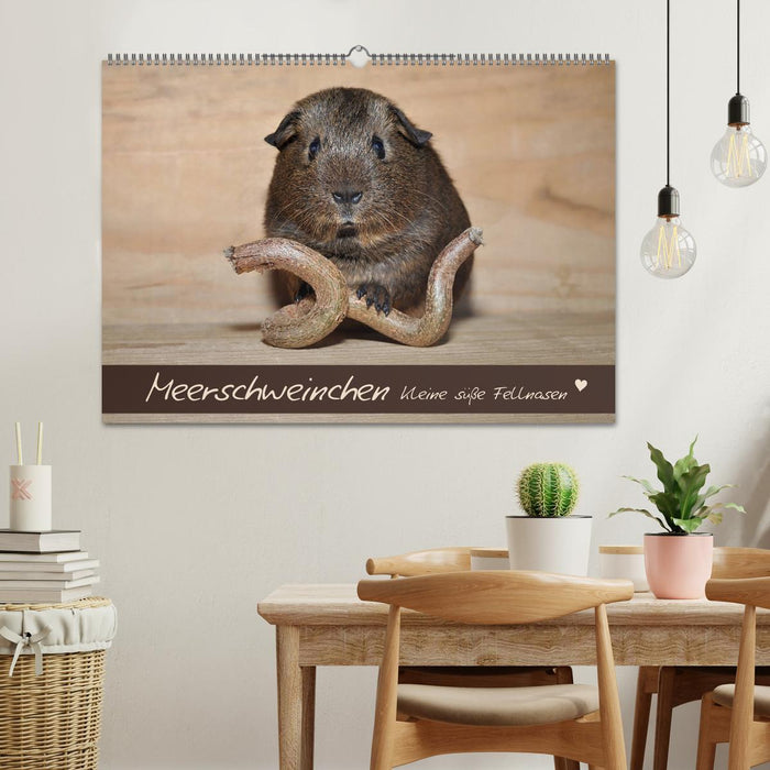 Meerschweinchen - Kleine süße Fellnasen (CALVENDO Wandkalender 2026)