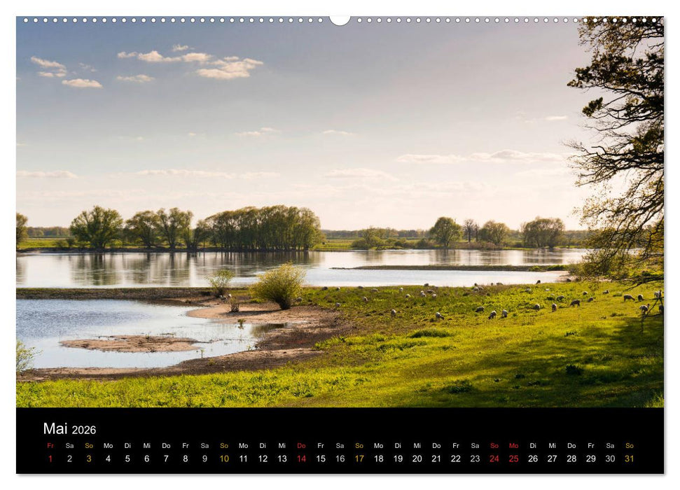 Brandenburg - Landschaften zwischen Elbe und Oder (CALVENDO Wandkalender 2026)