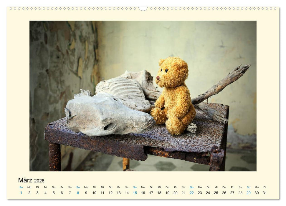 Herr Bär urban explorer (CALVENDO Wandkalender 2026)