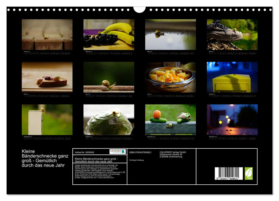 Kleine Bänderschnecke ganz groß - Gemütlich durch das neue Jahr (CALVENDO Wandkalender 2026)