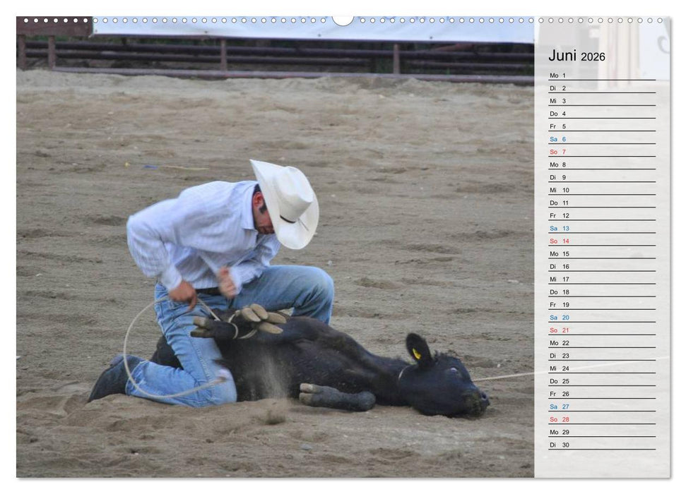 Faszination Rodeo (CALVENDO Wandkalender 2026)
