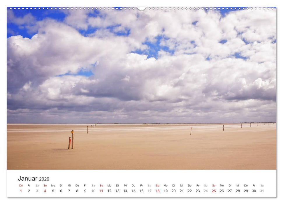 Eiderstedt Impressionen (CALVENDO Wandkalender 2026)