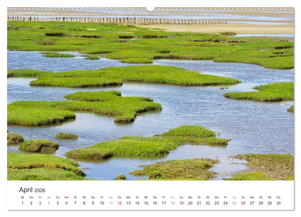 Eiderstedt Impressionen (CALVENDO Wandkalender 2026)