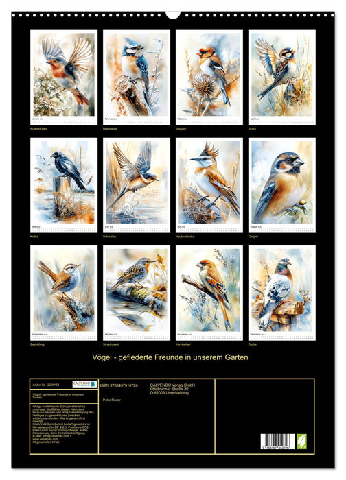 Vögel - gefiederte Freunde in unserem Garten (CALVENDO Wandkalender 2026)