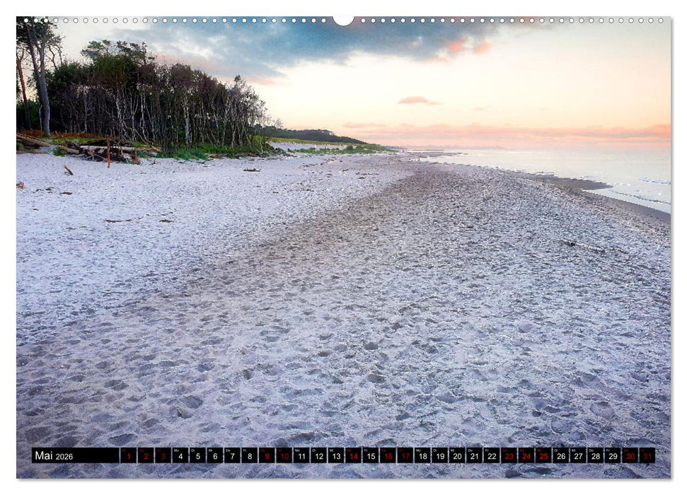 Fischland - Darß- Zingst (CALVENDO Wandkalender 2026)