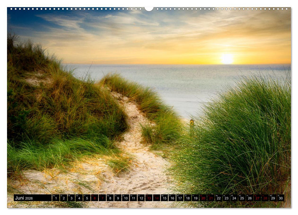 Fischland - Darß- Zingst (CALVENDO Wandkalender 2026)