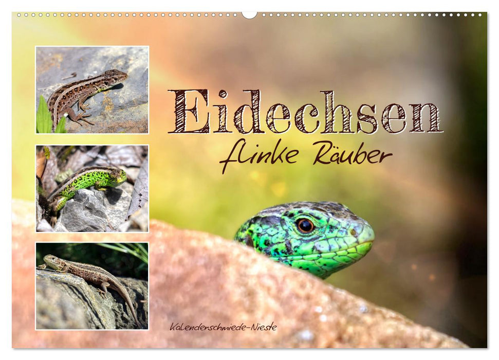 Eidechsen, flinke Räuber (CALVENDO Wandkalender 2026)