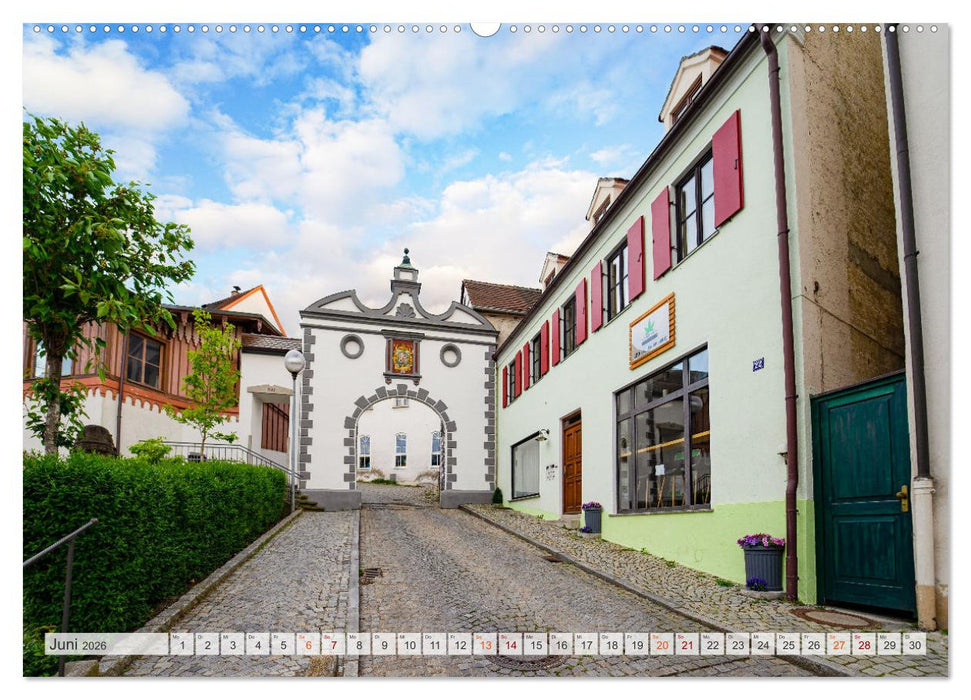 Dillingen an der Donau Impressionen (CALVENDO Wandkalender 2026)
