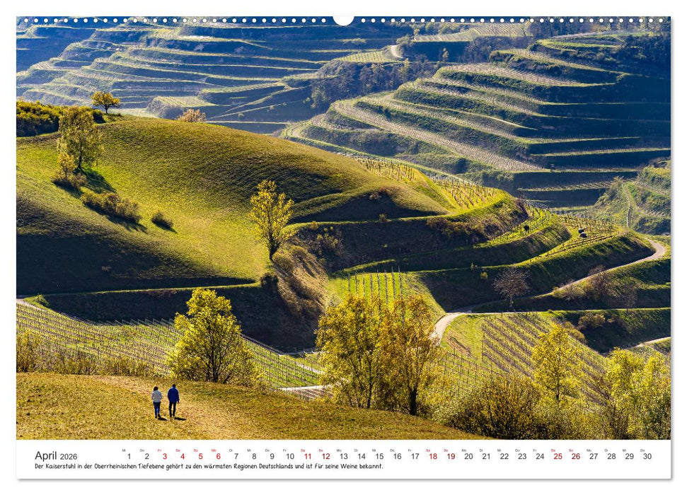 Sehenswertes Baden-Württemberg (CALVENDO Wandkalender 2026)