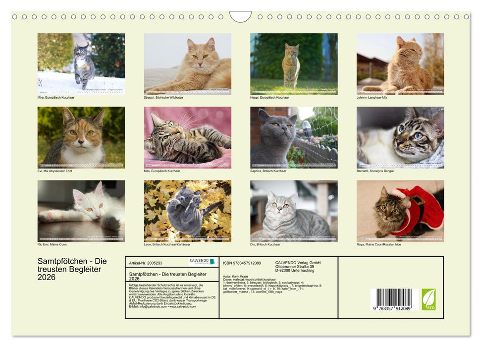 Samtpfötchen - Die treusten Begleiter 2026 (CALVENDO Wandkalender 2026)