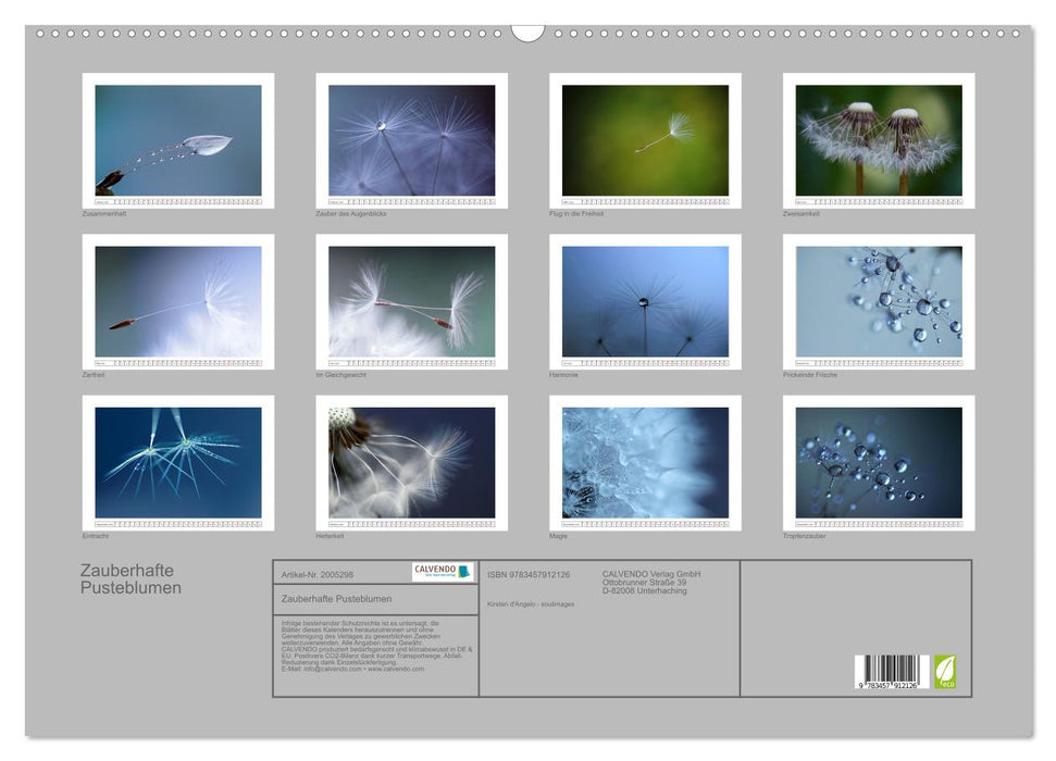 Zauberhafte Pusteblumen (CALVENDO Wandkalender 2026)