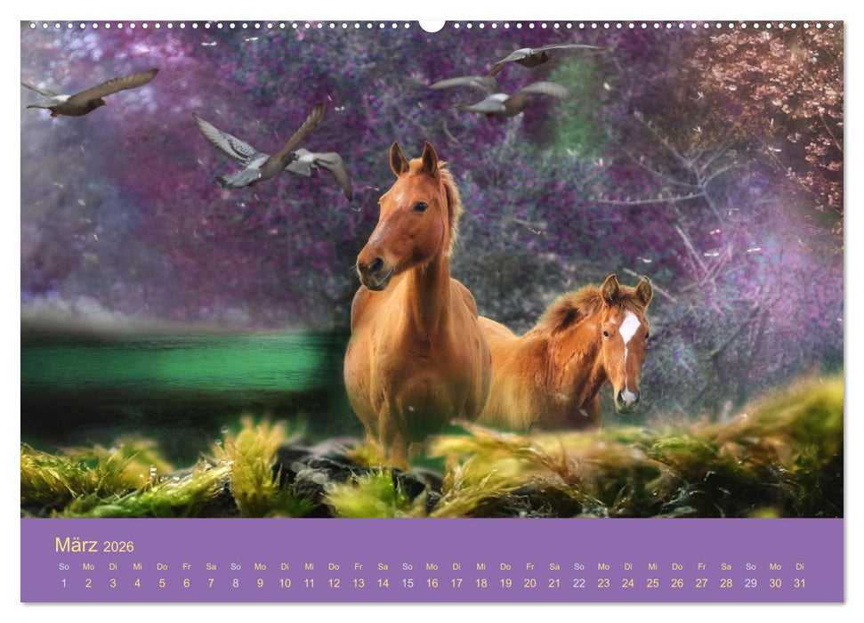 Von der Magie der Pferde (CALVENDO Wandkalender 2026)