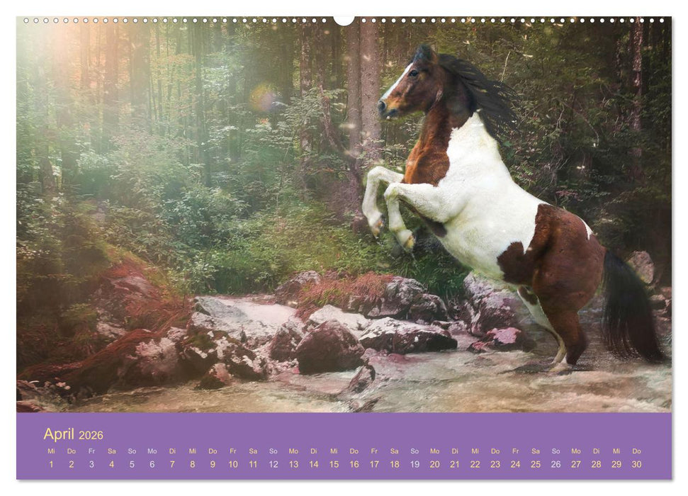 Von der Magie der Pferde (CALVENDO Wandkalender 2026)