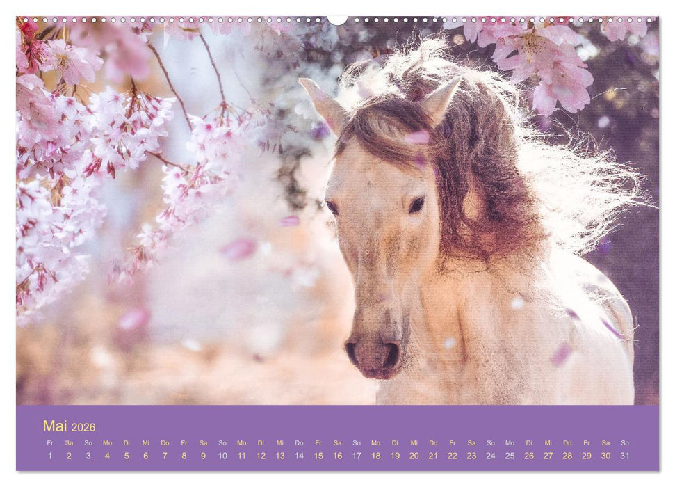 Von der Magie der Pferde (CALVENDO Wandkalender 2026)
