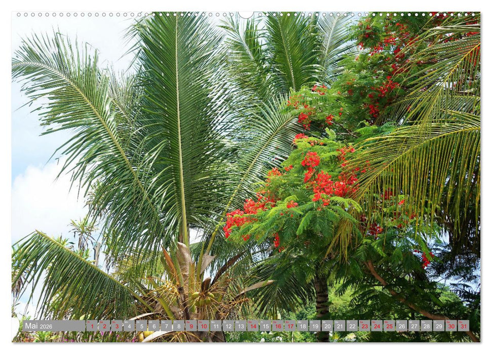 Auf Inseltour im Indischen Ozean (CALVENDO Wandkalender 2026)