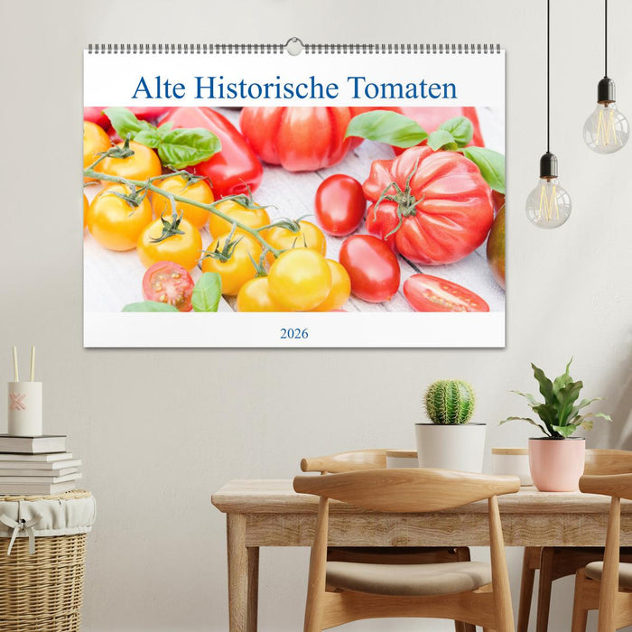 Alte Historische Tomaten (CALVENDO Wandkalender 2026)