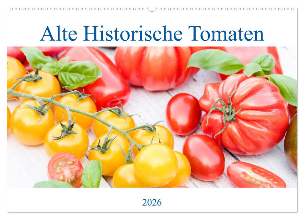 Alte Historische Tomaten (CALVENDO Wandkalender 2026)