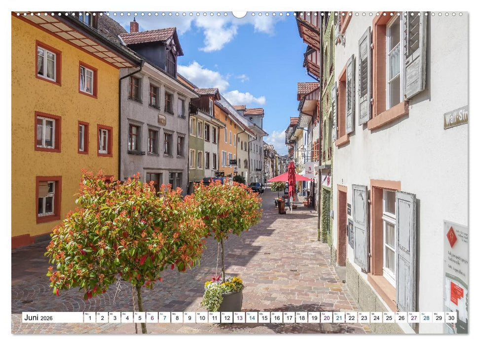 Waldshut - schmuckes Hochrhein Städtle (CALVENDO Wandkalender 2026)