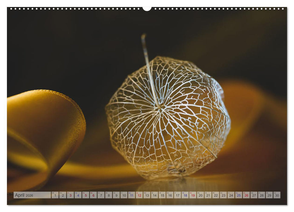 Kunstvolle Physalis-Kleine Frucht von großer Faszination (CALVENDO Wandkalender 2026)