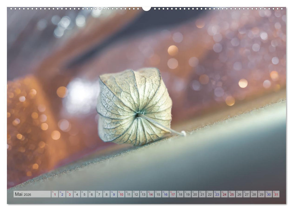 Kunstvolle Physalis-Kleine Frucht von großer Faszination (CALVENDO Wandkalender 2026)