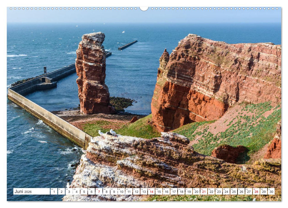 Schleswig-Holstein (CALVENDO Wandkalender 2026)