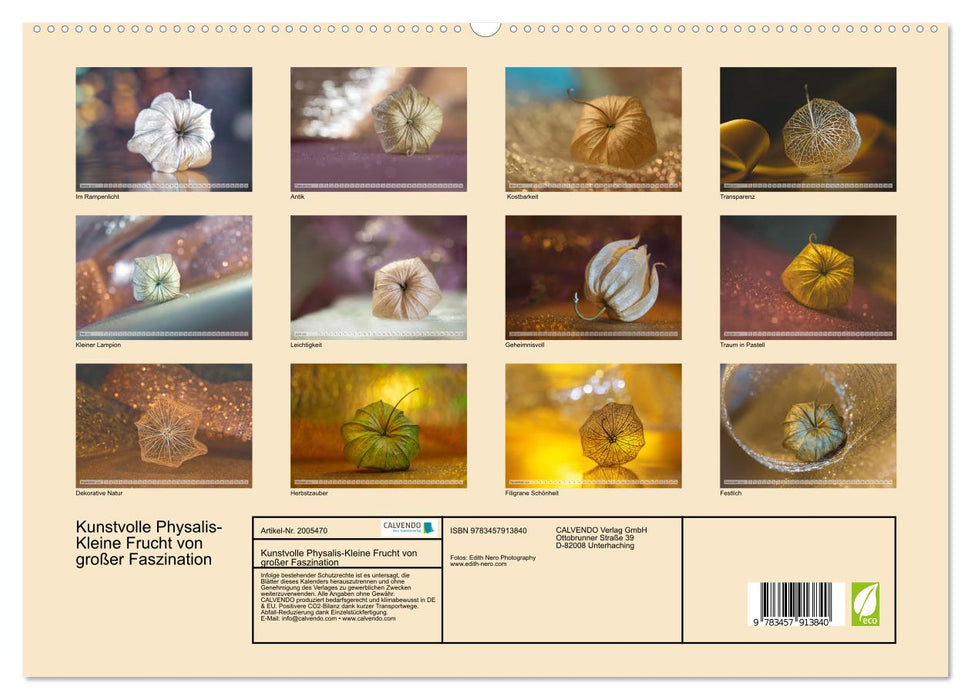 Kunstvolle Physalis-Kleine Frucht von großer Faszination (CALVENDO Premium Wandkalender 2026)