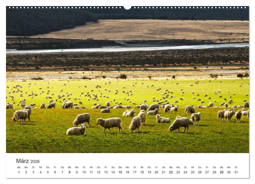 Naturschauspiel Neuseeland (CALVENDO Wandkalender 2026)