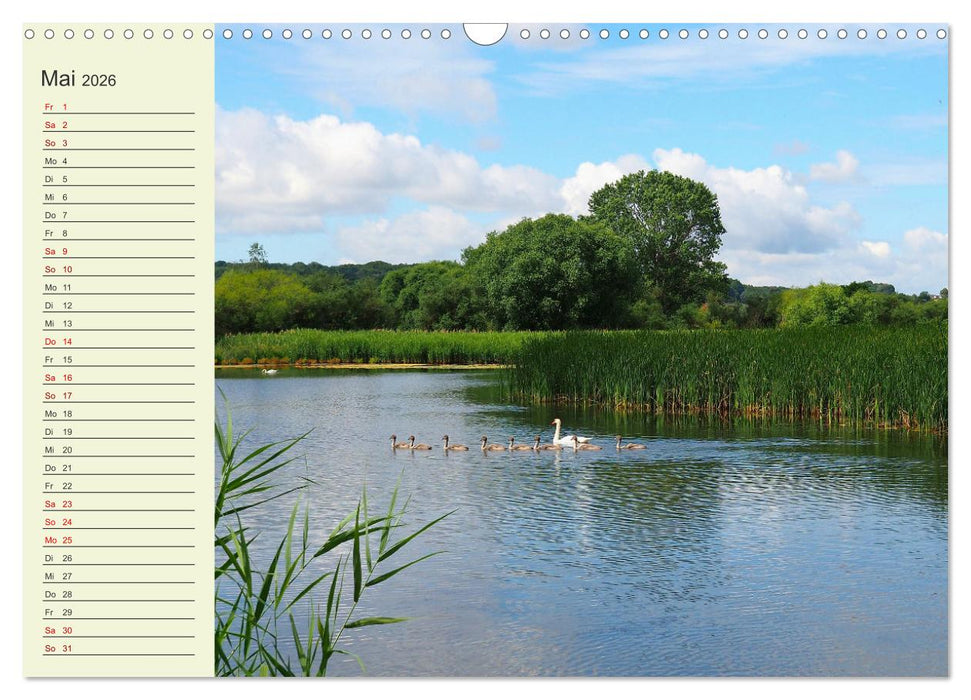 Ländliche Idylle zwischen Erzgebirge und Muldental (CALVENDO Wandkalender 2026)