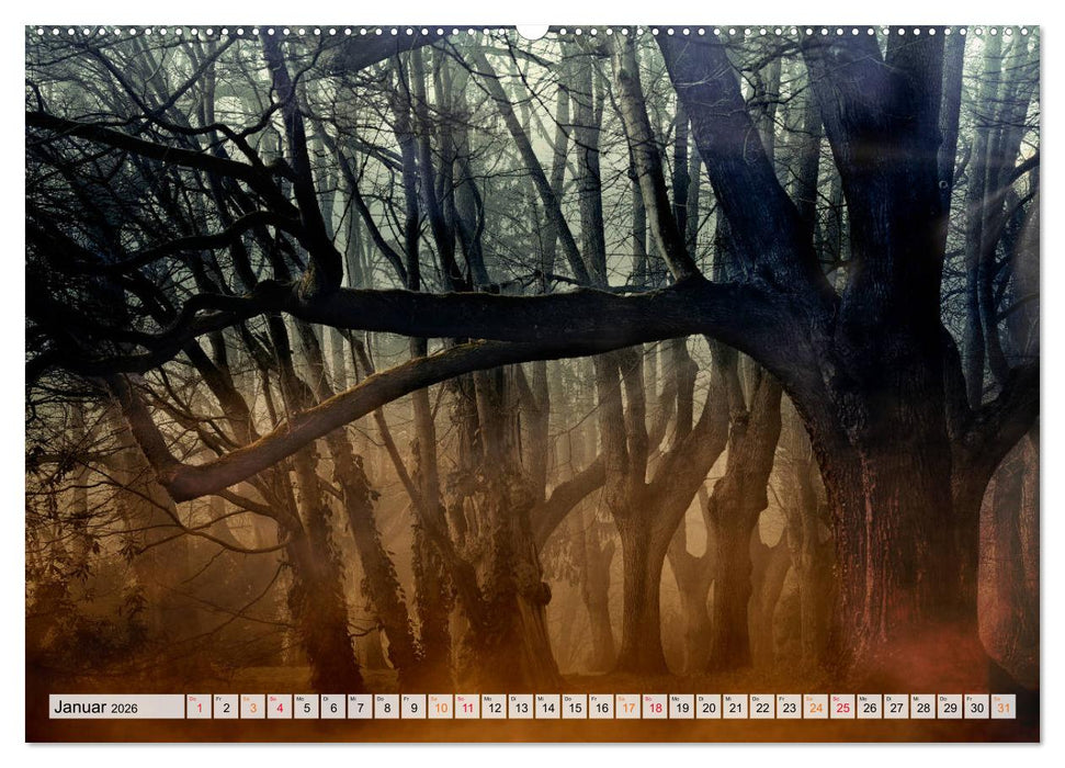 Wald - mystische Spaziergänge (CALVENDO Wandkalender 2026)