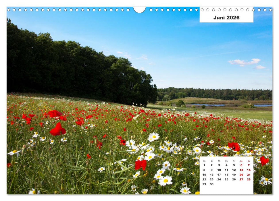 Rügen Panorama (CALVENDO Wandkalender 2026)