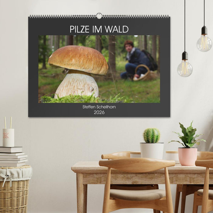 PILZE IM WALD (CALVENDO Wandkalender 2026)